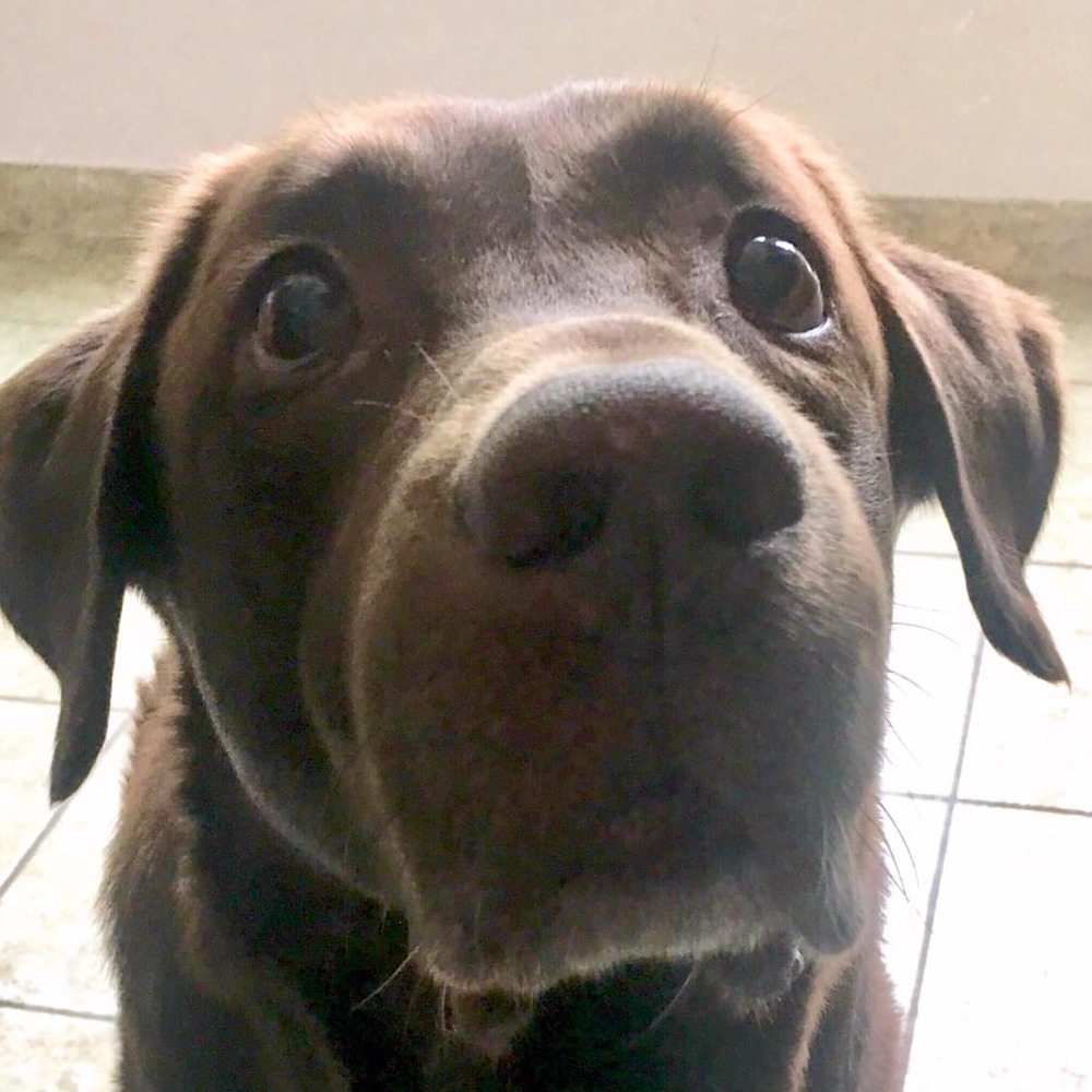 Meet your Posher, Victoria